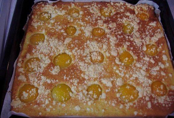 Meruňkový koláč z cukety
