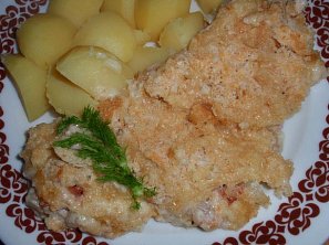 Fenykl (nejen) se šunkou zapečený