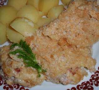 Fenykl (nejen) se šunkou zapečený