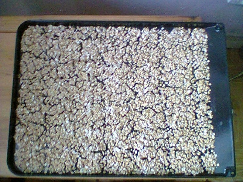 Cestovní ovesné pražmo, základní recept