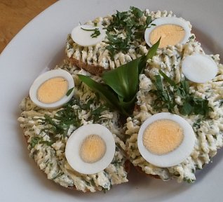 Tvarůžková pomazánka s medvědím česnekem