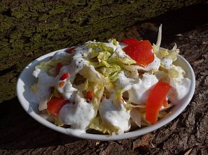 Tvarohová zálivka na zeleninové saláty