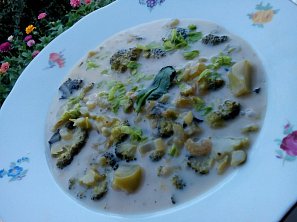 Brokolicová polévka s řapíkatým celerem a sýrem