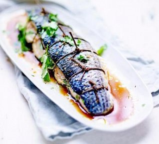 Plněný mořský vlk