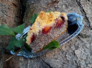 Makový koláč (makovník) se švestkami