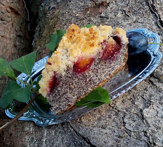 Makový koláč (makovník) se švestkami