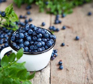 Borůvkový (višňový)  likér