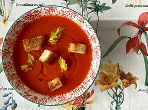 Polévka z paprik a rajčat