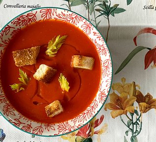 Polévka z paprik a rajčat