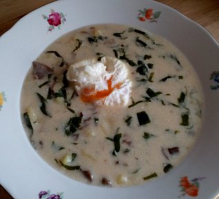 Smetanová polévka s medvědím česnekem