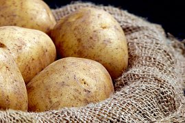 Sladkost namrzlých brambor