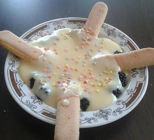 Puding s ostružinami a piškoty