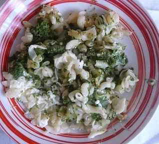 Těstoviny ála Pepek námořník