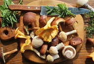 Houbová směs na topinky