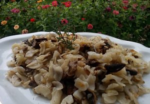 Houbové flíčky / houbofleky