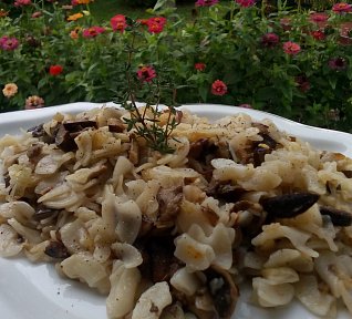 Houbové flíčky / houbofleky