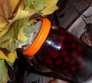 Jeřabina - sterilovaná