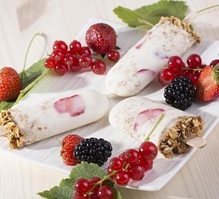 Zmrzlina s ovesnými vločkami