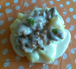 Kuřecí špíz v tvarůžkové košilce