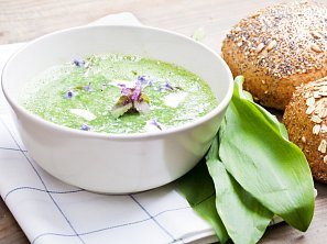 Polévka z medvědího česneku