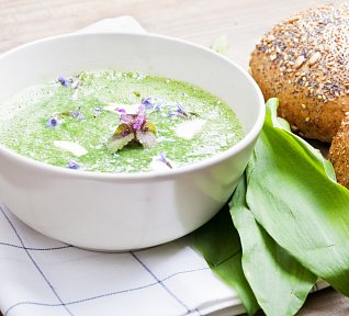 Polévka z medvědího česneku