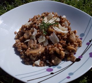 Žampionová směs s pohankou