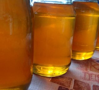 Med nebo sirup z květů divizny