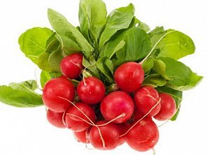 Jednoduchý ředkvičkový salát