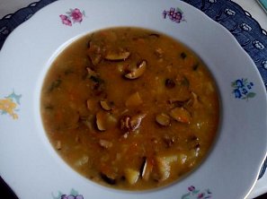 Bramboračka - houbovačka Bramboračka - houbovačka