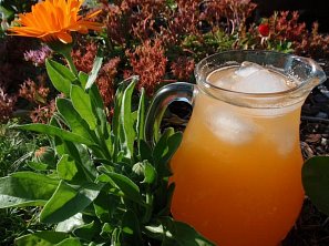 Broskvový / Meruňkový sirup