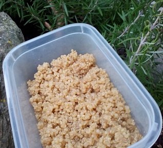 Quinoa - jako příloha nebo zavářka do polévek