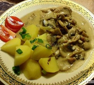 Lovecké řízky Lovecké řízky