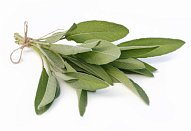 Špagety s kapustičkami, šunkou a ořechy