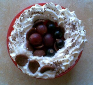 Angreštový pudink s černým rybízem