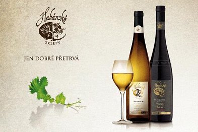 Prestižní Salón vín ČR ocenil vína z Habánských sklepů