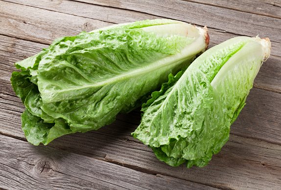 Caesar salát