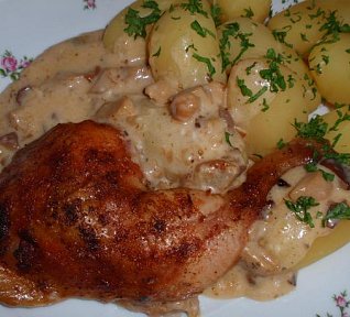 Hříbkové kuře (králík) v sýrovém výpeku
