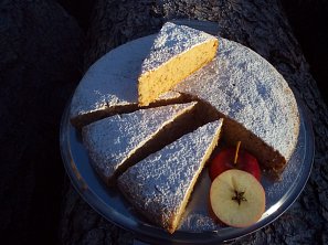 Jablečná buchta / bábovka se šlehačkou