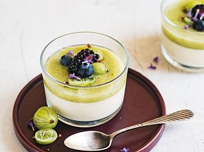 Panna cotta s angreštovou omáčkou