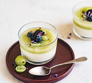 Panna cotta s angreštovou omáčkou