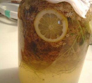 Bezinková limonáda II. Bezinková limonáda II.