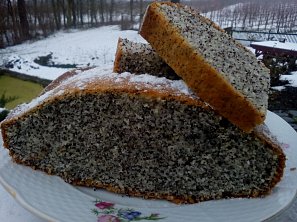 Vláčný makovník / makovec