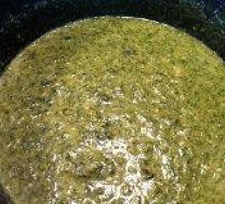 Špenátová omáčka