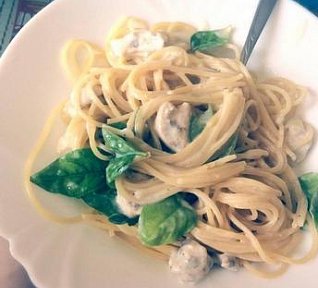 Sýrová omáčka s čerstvou bazalkou