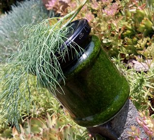 Koprové pesto (různé použití)