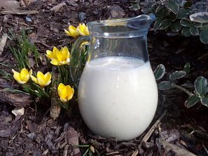 Banánovo-mangové smoothie