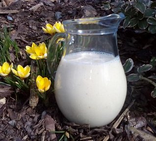 Banánovo-mangové smoothie