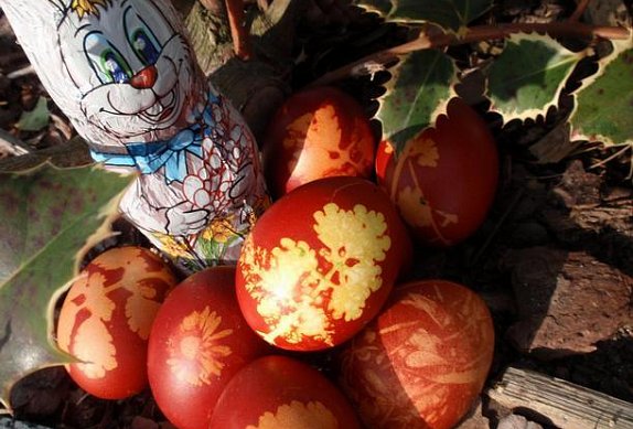 Barvená velikonoční vejce v cibulových slupkách