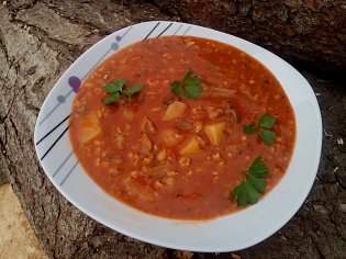 Gulášová polévka z hlívy s ovesnými vločkami