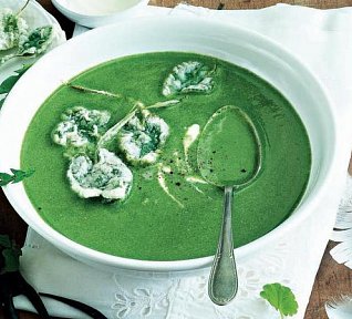 Bylinková polévka s fialkovými listy v těstíčku